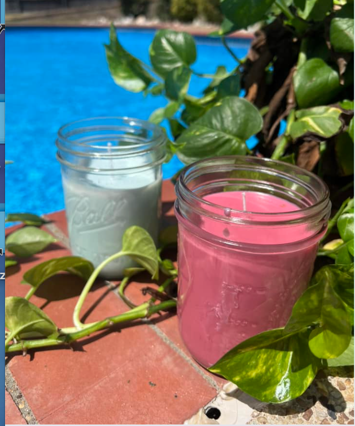 Handcrafted Citronella Candle in Reusable Ball Canning Jar, 9 ounce Citronella Candles , Pink or Blue